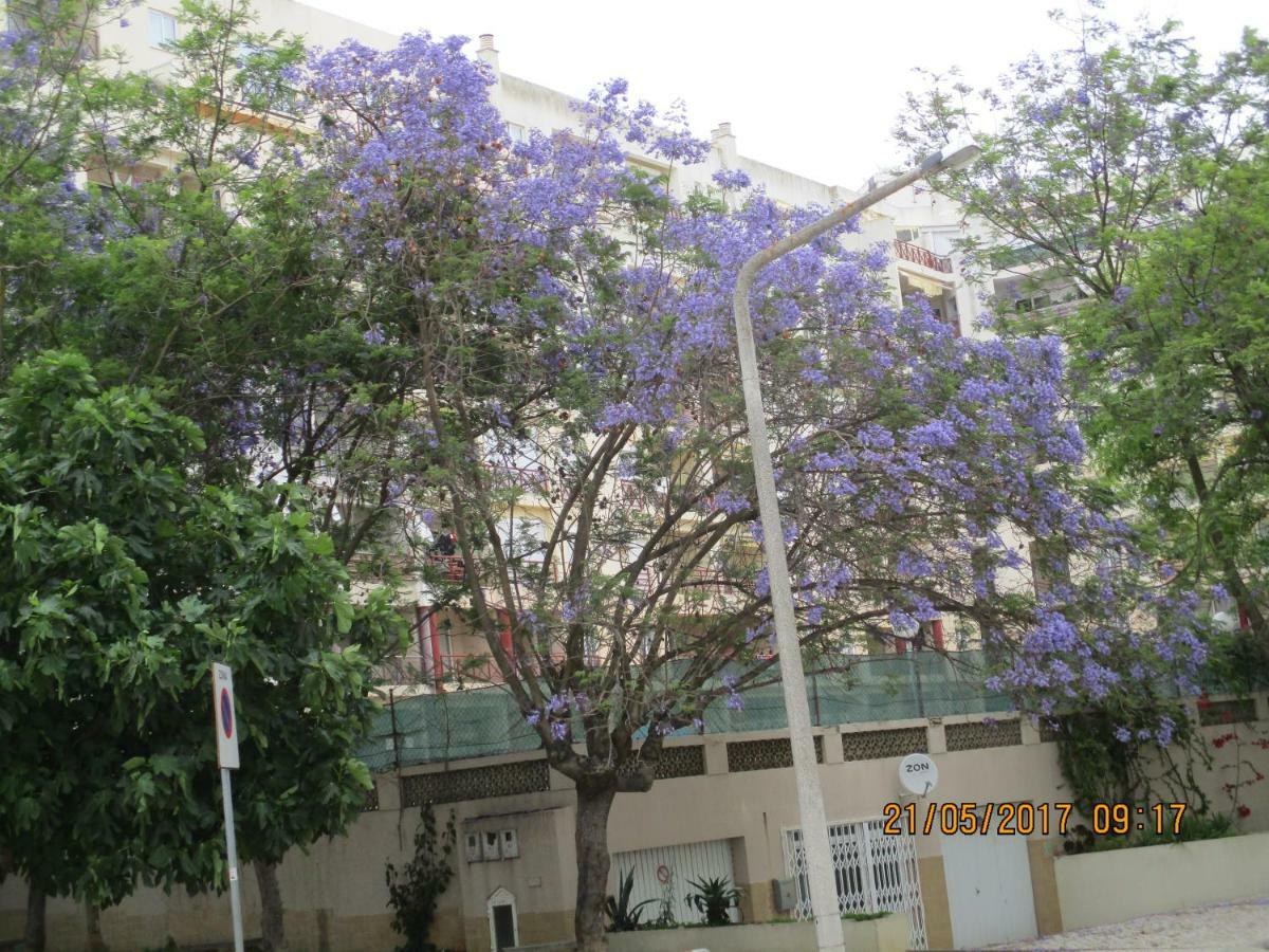 Edificio Caique C Apartamento Armação de Pêra Exterior foto